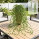thumbnail image 1 of Plantas artificiales colgantes de 110 cm, paquete de 3 unidades de hiedra artificial con tallo de ratán para decoración de paredes, bodas, hogares, interiores y exteriores (verde). Rkxzt, 1 of 8