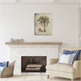 thumbnail image 3 of Stupell Industries Vintage Palm Tree Study Botanical & Floral Painting Gallery Wrapped Canvas Art Print Wall Art, 24 x 30, 3 of 8