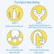 thumbnail image 4 of cepillos de dientes en forma de U para niños, cepillo de dientes de entrenamiento manual, cabezal de cepillo de silicona suave de grado alimenticio, diseño de limpieza de dientes bucales de 360° para niños pequeños y niños (S (de 2 a 6 años)) Sailing Electrónica, 4 of 6