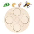 thumbnail image 2 of Ayudas para ñanza de Vida de Madera, Juguete Natural Educativo Temprano para Regalos Presentes, Pequeños, Y Niñas , Sunnimix Tablero de ciclo de vida, 2 of 8