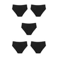thumbnail image 1 of Qarigey Ropa interior para el período menstrual de las mujeres, portátil, de viaje, absorbente de agua, a prueba de fugas, 4 capas, ropa Type2 NO2, 1 of 6