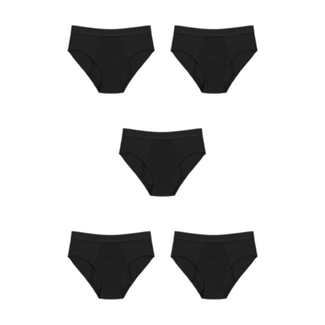 Qarigey Ropa interior para el período menstrual de las mujeres, portátil, de viaje, absorbente de agua, a prueba de fugas, 4 capas, ropa Type2 NO2