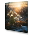 thumbnail image 2 of Designart "Verdant Snowdrop Winter Sunset" Snowdrops Canvas Art Print, 2 of 7