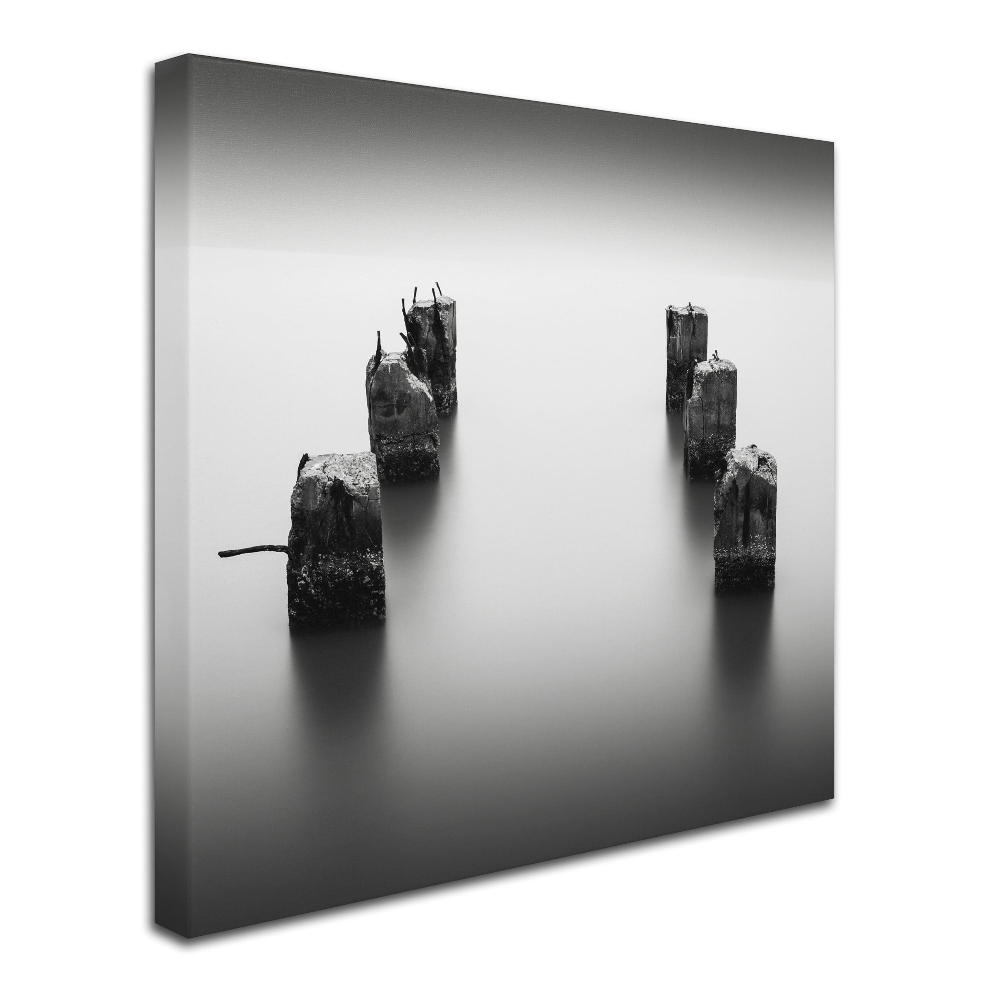 Trademark Fine Art Dave MacVicar 'Pillars' 35 x 35 (ALI0845-C3535GG)