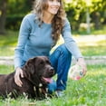 thumbnail image 3 of The Mellow Dog Calming Ball, Dog Ball with Handle, Interactive Dog Toy, Durable Dog Toy with Squeaker, Dog Football Toy for Medium Large Dogs, Indestr, 3 of 5