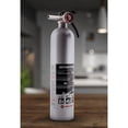 thumbnail image 2 of First Alert DHOME1 Rechargeable Designer Home Fire Extinguisher UL Rated 1-A:10-B:C, Pewter, 2 of 4