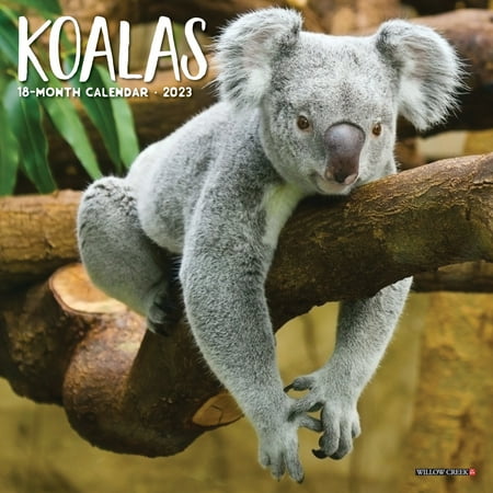 UPC: 0709786073405 | Koala Bears 2023 Mini Wall Calendar