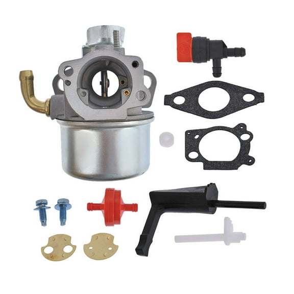 New Carburetor For Briggs &Stratton 798653 697354 790290 791077 698860 FAST SHIP