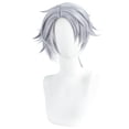 thumbnail image 1 of Peluca para cosplay sintética en capas cortas, gris plateado, 55 cm, 1 of 3