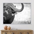 thumbnail image 2 of Designart 'Black and White Portrait Of Buffalo III' Farmhouse Framed Canvas Wall Art Print, 2 of 5
