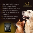 Lexelium LifeOptim Terminal Illness AIF4 Support Blend for Dogs and