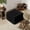 BLACK, variant on 23.63" Square Plush Corduroy Ottoman,Soft Upholstered Couch Footrest with Removable Top,Comfy Padded Seat Stool for Living Room Bedroom,Beige