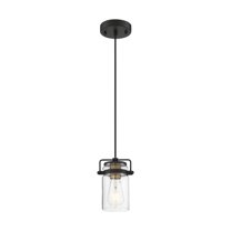 Nuvo Lighting Antebellum 1-Light Mini Pendant Fixture Black and Aged Gold Finish with Clear Glass - N/A