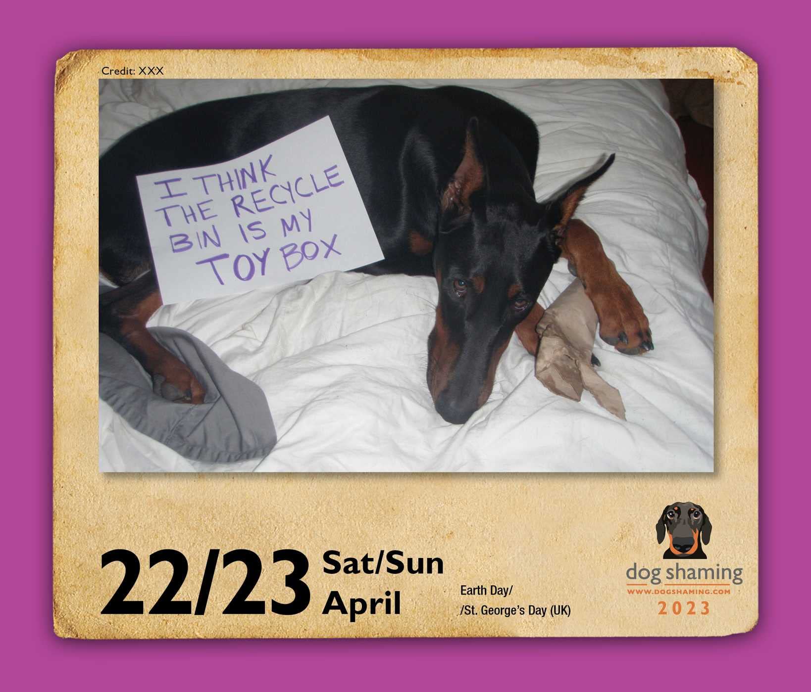 Dog Shaming 2023 Day-To-Day Calendar (Other) - Walmart.com Dog Shaming 2023 Day-To-Day Calendar (Other) - Walmart.com