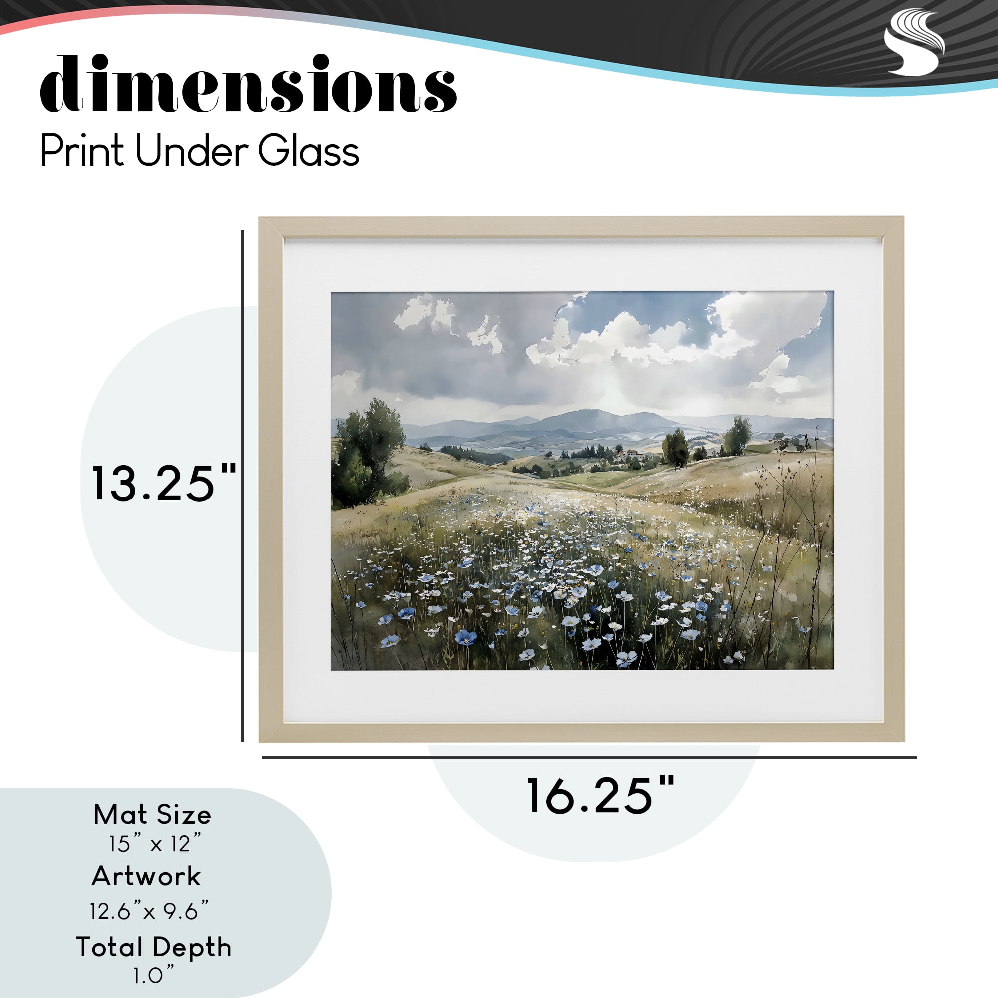 Stupell Industries Poppy Blues Across Meadow Birch Framed Print Under Glass, design by Franklyn Gregory