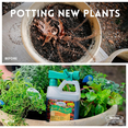 thumbnail image 2 of HastaGro Plant Food 6-12-6 RTS- Three Products in One - 32 fl oz Hose-End Sprayer Bottle by Medina, 2 of 6