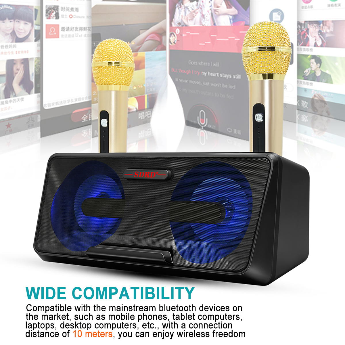 SDRD SD-301 2 in 1 Portable Karaoke System Family KTV with Dual Wireless Live Microphone + Bluetooth Speaker (Black)