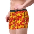 thumbnail image 2 of Fuzoiu Vintage maple leaves autumn Print Men's Ultra Breathable Underwear,No Riding Up Boxer Briefs with ComfortFlexible Waistband-Small, 2 of 5