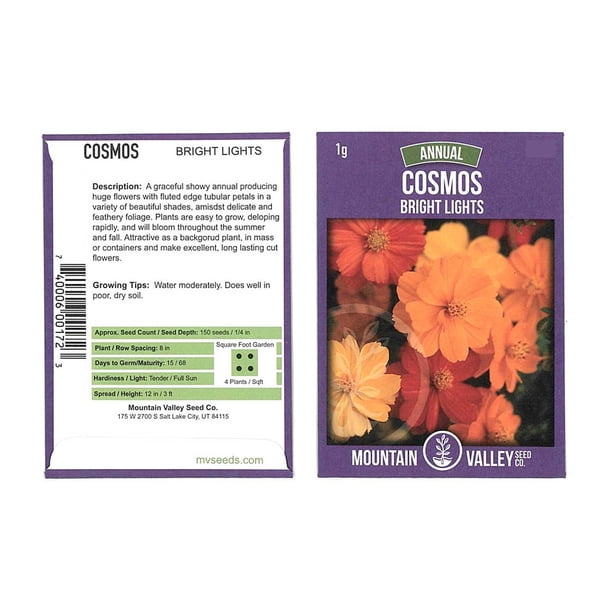Bright Lights Cosmos Flower Seeds 1 Gram Packet Annual Flower Outdoor Container Garden Seed Cosmos Sulphureus Walmart Com Walmart Com