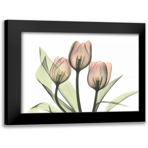 Koetsier, Albert 14x12 Black Modern Framed Museum Art Print Titled - Pink Tulip Bunch