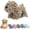 Brown, variant on Chenille Dog Hand Towel Fuzzy Dog Towel,10.2x5.1 Inch Dog Hand Towels for Bathroom Kitchen Fluffy Soft Absorbent (Gray)