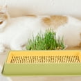 Cat Grass Planting Box Soilless Cat Plant Hydroponic Planter Plastic