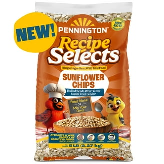 Pennington Select Fruit Flavored Sunflower Chips Wild Bird Feed
