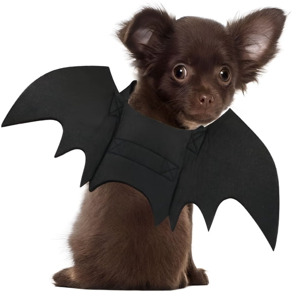 TELOLY Dog Bat Costume - Halloween Pet Costume Bat Wings Cosplay Dog Costume Cat Costume for Party M