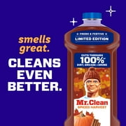 Mr. Clean All Purpose Cleaner, Cleaning Liquid, Spiced Harvest, 41 fl oz