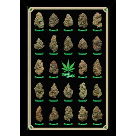 Best Buds Poster In A Black Wood Frame 24x36 Best Buds Poster In A Black Wood Frame 24x36
