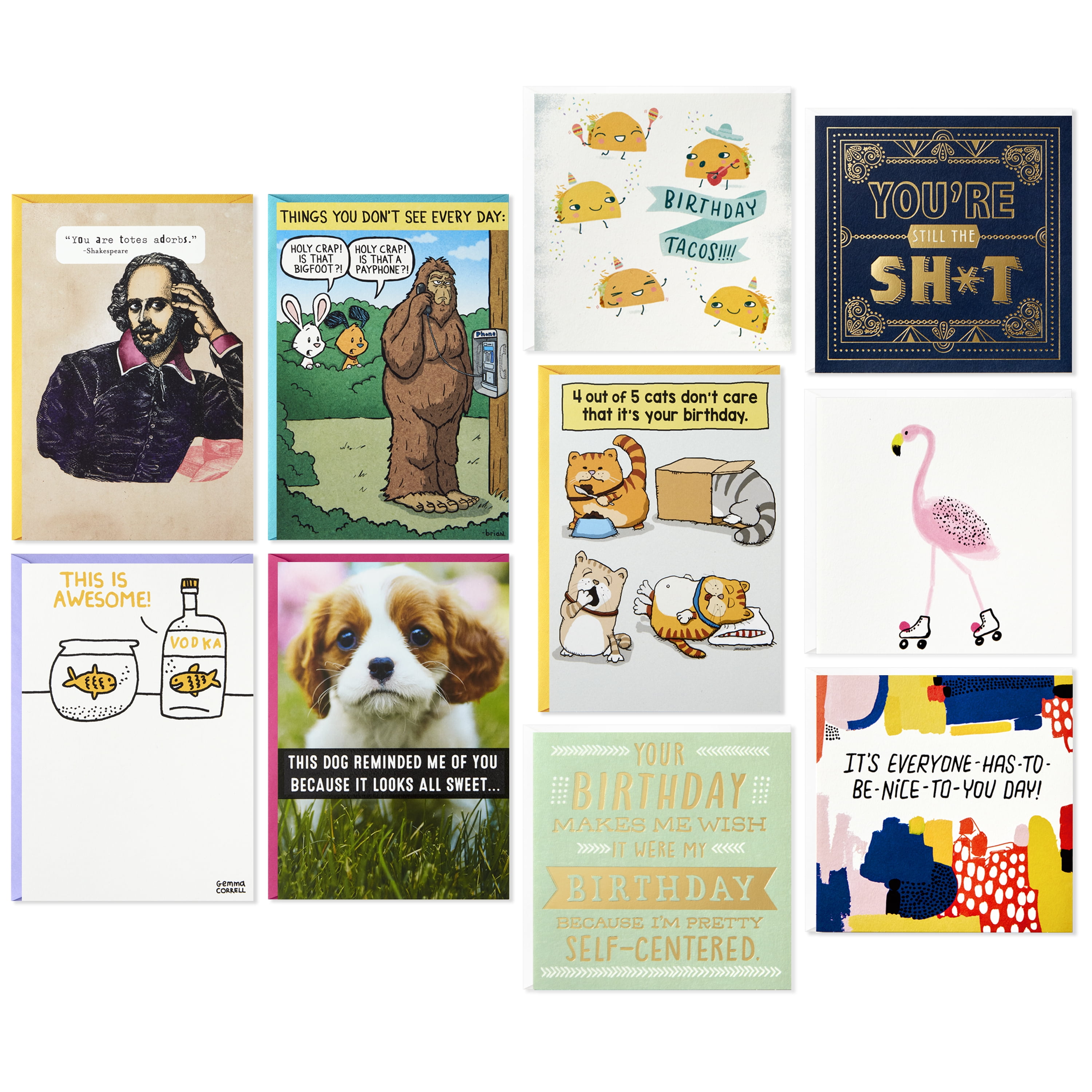 Pack of 10 Mixed Premium Well-Loved Animal Photo Cards Blank Inside with White Envelopes