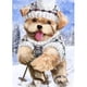 thumbnail image 1 of Pintura de diamante (DE6727) 5D DIY Cachorro de esquí Cuadro de diamantes de imitación cuadrados 20X30cm Hugtrwg Para estrenar, 1 of 1