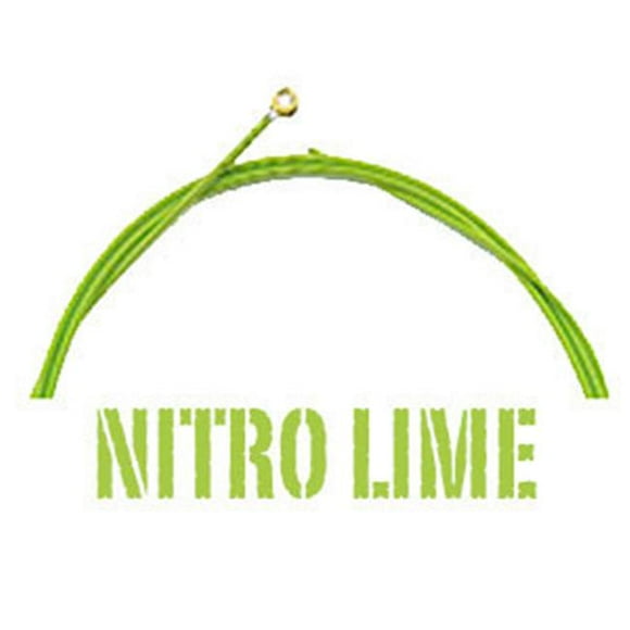 Aurora NITRO.LIME.E9-46 Cordes de Guitare Électriques de Qualité Supérieure 9-46 Gauge Légères - Nitro lime
