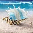 thumbnail image 2 of SPI Home Art Glass Striped Conch Shell 12 Inches Long, 2 of 2