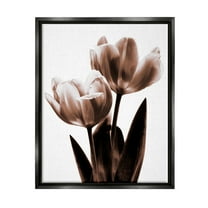 Stupell Modern Tulip Silhouette Duo Botanical & Floral Photography Black Floater Framed Art Print Wall Art