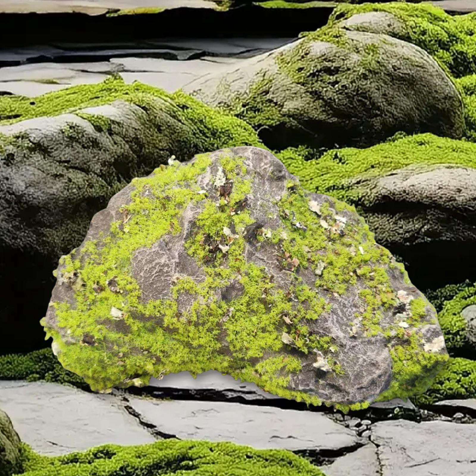 Zxpjkyu Artificial Moss Rock, Decorative Fake Stone, Artificial Green Moss Covered Stone L
