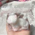 thumbnail image 1 of Cartoon Kawaii Plush Cats Slow Rebound Toy Soft Feel * Fingertip Pinching, 1 of 1