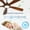 Natural Wood#3, variant on Tower Fan 60 Inch wood Ceiling Fan with light, Low Profile Ceiling Fan with Remote Control,Noiseless Reversible DC Motor with Timer60,Box Fan