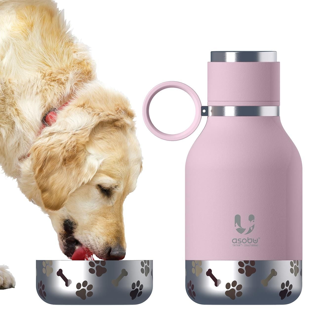 Asobu Dog Bottle