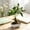 Green#2720, variant on Artificial Riches Tree Bonsai, Realistic Faux Potted Greenery for Indoor Home Office Desktop Decor, Plastic Pot, 9.8 Inch