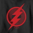 thumbnail image 2 of Boy's The Flash Red Lightning Bolt Symbol  Pull Over Hoodie Black Small, 2 of 4
