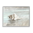 thumbnail image 4 of Stupell Industries Conch Resting on Quiet Shore Animal Sea Life,14 x 11, Design by Sally Swatland, 4 of 5