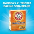 thumbnail image 4 of Arm & Hammer ™10-Pack Odor Absorber in Orange, 4 of 5
