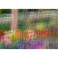 thumbnail image 2 of Jaynes Gallery 14x11 White Modern Wood Framed Museum Art Print Titled - France-Giverny Impression of flowers in Monets Garden, 2 of 4