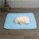 thumbnail image 1 of Alfombrilla de refrigeración para perros y gatos, alfombrilla de seda helada, cojín de manta refrescante para perrera/sofá/cama/suelo/asientos de coche, 1 of 5