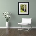 thumbnail image 4 of Chris Moyer 'Akaka Falls' Matted Framed Art, 4 of 4