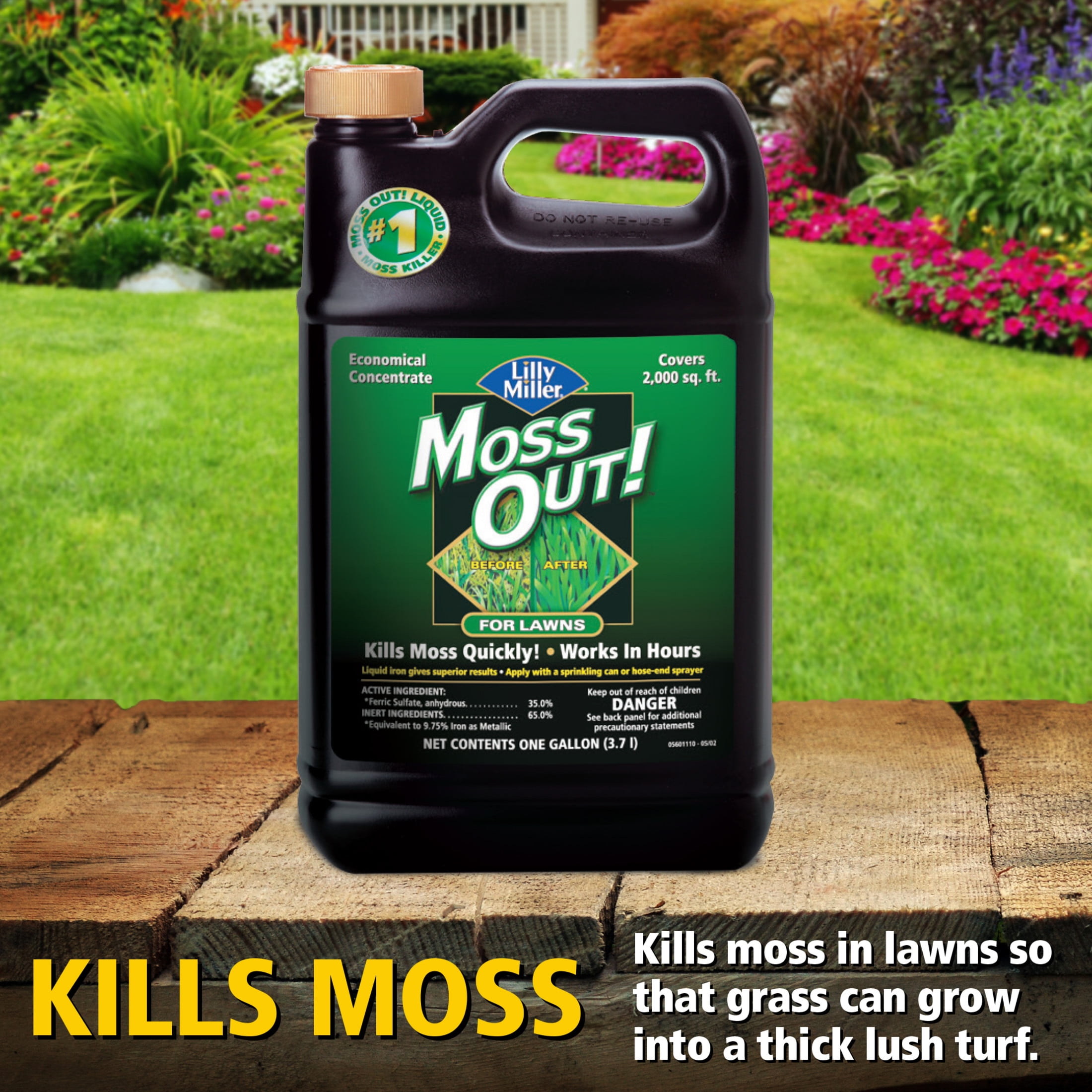(2 pack) Lilly Miller Moss Out! Lawn Moss Killer Concentrate Herbicide, 1 Gallon