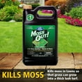 thumbnail image 6 of Lilly Miller Moss Out! Lawn Moss Killer Concentrate Herbicide, 1 Gallon, 6 of 12