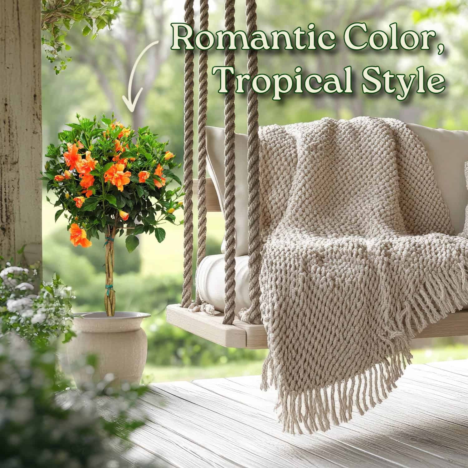 Tropical Plants of Florida 38" to 44" Braided Double Peach Hibiscus Tree, 10 in Grower Pot, 1 Count, Attract Bees