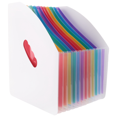 thumbnail image 2 of LOVEVER Expanding File Holder Folder Standing A4 Vertical Organizer Magazine Basket Desktop 13 Pockets, 2 of 4